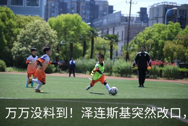 万万没料到！泽连斯基突然改口，弃北约换领土，看懵整个西方世界