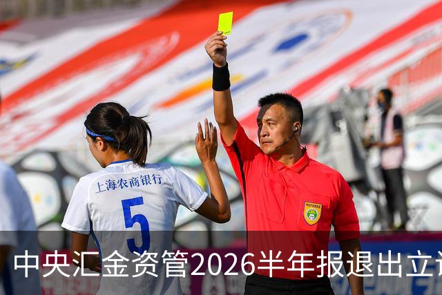 中央汇金资管2026半年报退出立讯精密前十大股东名单