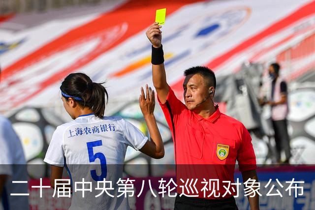 二十届中央第八轮巡视对象公布