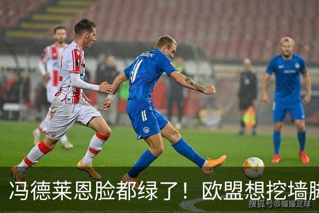 冯德莱恩脸都绿了！欧盟想挖墙脚反被将一军，什么叫中国力量