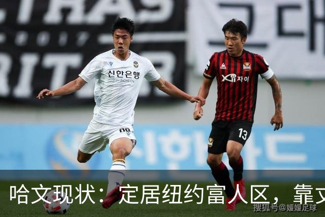 哈文现状：定居纽约富人区，靠丈夫遗产和女儿很潇洒，没有再婚