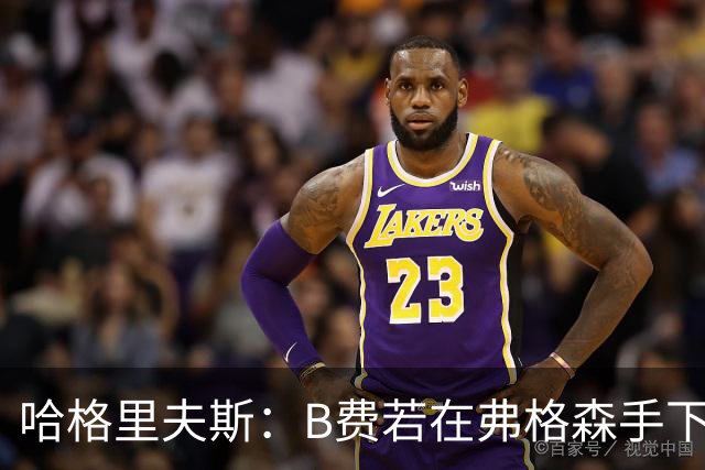 哈格里夫斯：B费若在弗格森手下说这话，就没机会再上场了