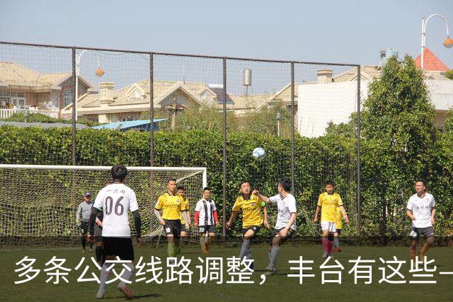 多条公交线路调整，丰台有这些——
