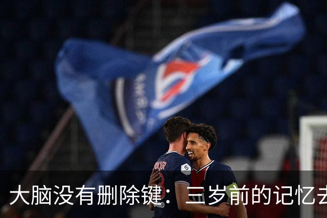 大脑没有删除键：三岁前的记忆去哪了？