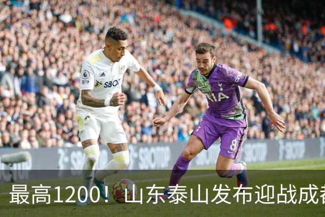 最高1200！山东泰山发布迎战成都蓉城票务，票价普涨，或仍被秒抢
