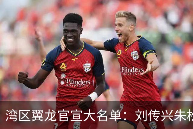 湾区翼龙官宣大名单：刘传兴朱松玮继续留队