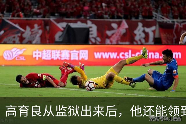 高育良从监狱出来后，他还能领到退休金吗？毕竟他属于视同缴费