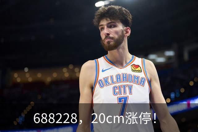 688228，20cm涨停！