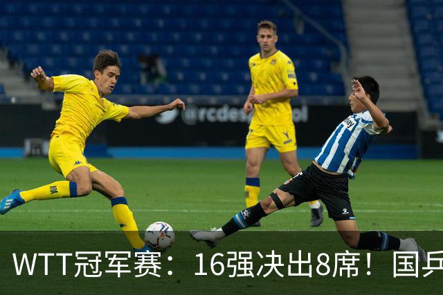 WTT冠军赛：16强决出8席！国乒大获全胜，林昀儒鏖战5局逆转